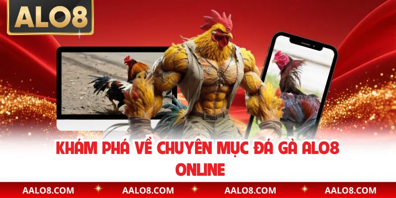 Khám phá về chuyên mục đá gà Alo8 online